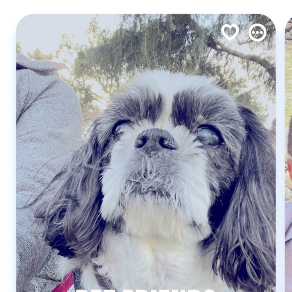 Meet your Posher, Maria - Picture 1 of 1